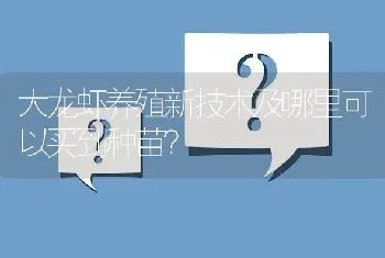 大龙虾养殖新技术及哪里可以买到种苗?