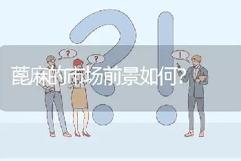 蓖麻的市场前景如何?