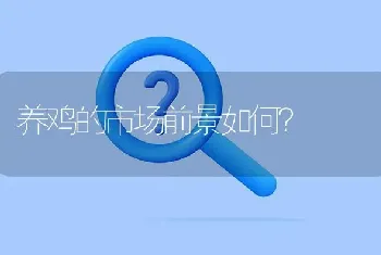 养鸡的市场前景如何?