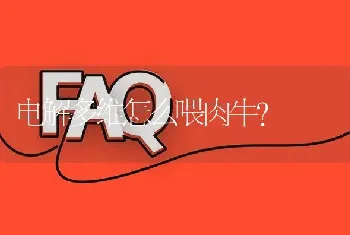 电解多维怎么喂肉牛?