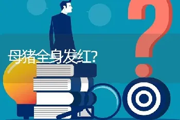 请问安徽哪个地方有养彩色长毛兔?