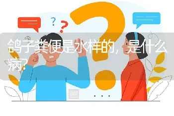 鸽子粪便是水样的,是什么病?