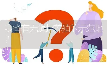 我省有无蝇蛆养殖的示范地?