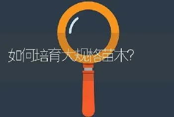 如何培育大规格苗木?