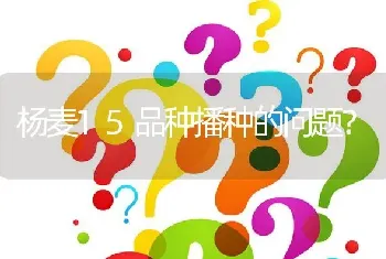 杨麦15品种播种的问题?