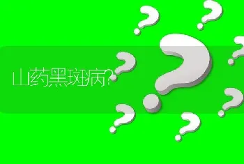 山药黑斑病?