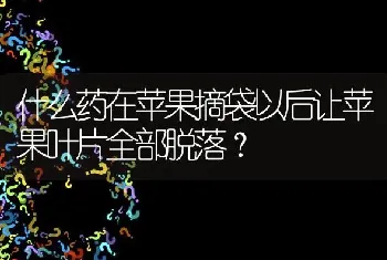 什么药在苹果摘袋以后让苹果叶片全部脱落?