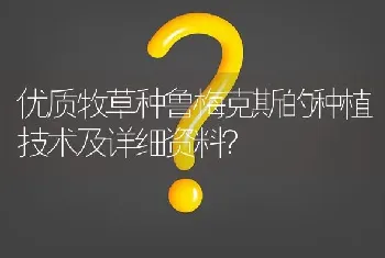 优质牧草种鲁梅克斯的种植技术及详细资料?