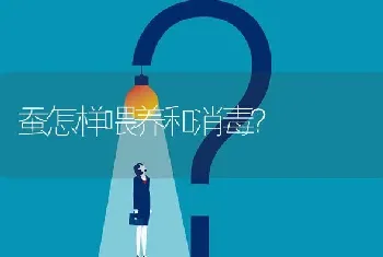 蚕怎样喂养和消毒?