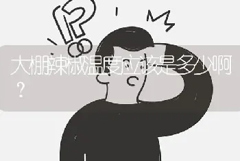 大棚辣椒温度应该是多少啊?