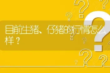 目前生猪、仔猪的行情怎么样?