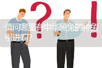 请问哪里有中华黑兔的种兔引进啊?