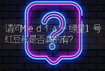 请问Media-绿星1号红豆杉是否真的有?