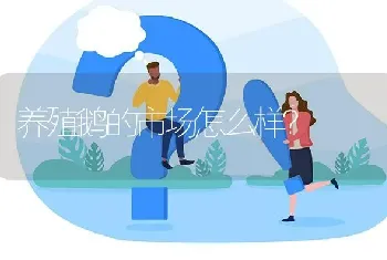 养殖鹅的市场怎么样?