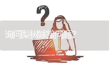 询问梨树嫁接问题?