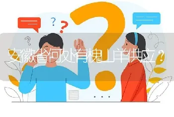 安徽省何处有槐山羊供应?