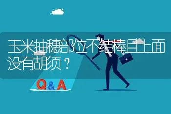 玉米抽穗部位不结棒且上面没有胡须?