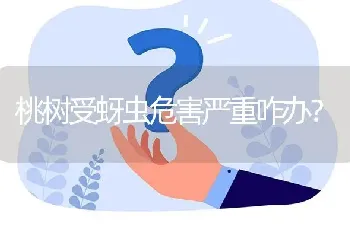 桃树受蚜虫危害严重咋办?