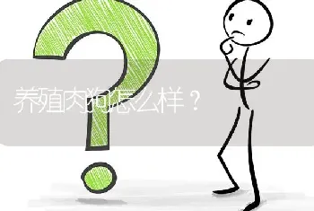 养殖肉狗怎么样?