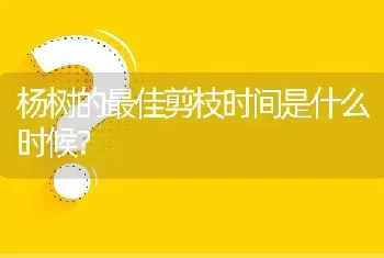 杨树的最佳剪枝时间是什么时候?