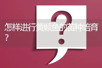 怎样进行黄颡鱼的苗种培育?