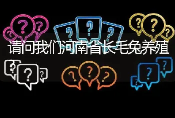 请问我们河南省长毛兔养殖?