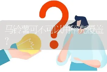 马铃薯可不可以用稻壳覆盖?