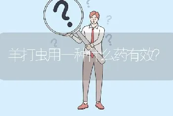 养殖项目选择?