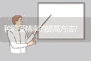 种鸭受精率的提高方法?