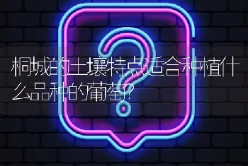 优质米求购哪里有?