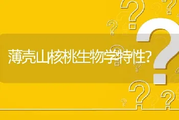 薄壳山核桃生物学特性?