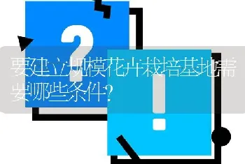 要建立规模花卉栽培基地需要哪些条件?