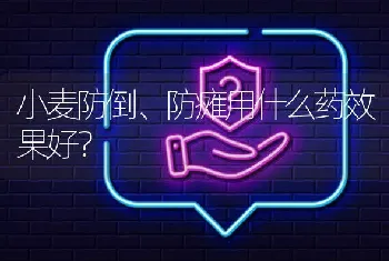 小麦防倒、防瘫用什么药效果好?