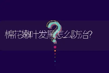 棉花嫩叶发黑怎么防治?