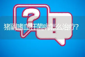 猪副嗜血杆菌病怎么治疗?