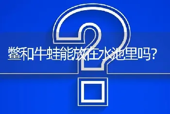 鳖和牛蛙能放在水池里吗?