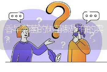 香早葡萄的树苗哪里有的卖?