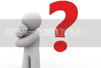 我想养一批黄鳝怎样养?