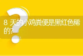 8天的小鸡粪便是黑红色稀的?