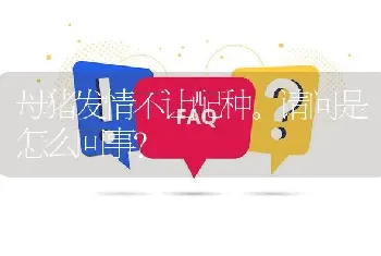 母猪发情不让配种。请问是怎么回事?