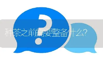 种茶之前需要整备什么?