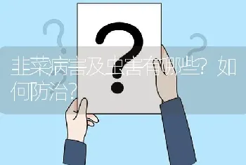 韭菜病害及虫害有哪些?如何防治?