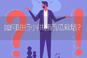 如何进行小拱棚西瓜栽培?