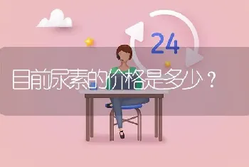 目前尿素的价格是多少?