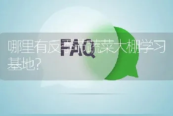 哪里有反季节蔬菜大棚学习基地?