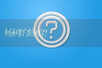 杨树的修剪?