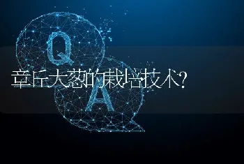 章丘大葱的栽培技术?