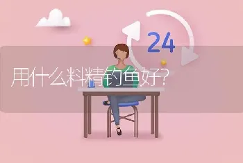 用什么料精钓鱼好?