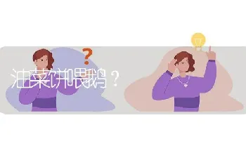 青贮玉米秸秆鹅?