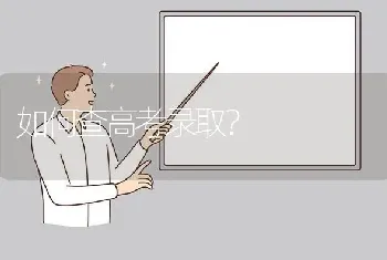 如何查高考录取?